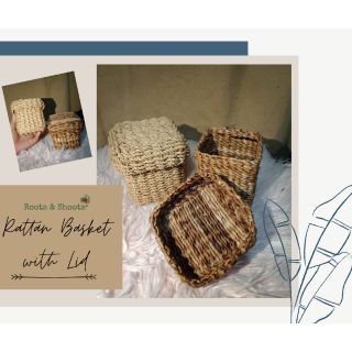 trofast wicker baskets
