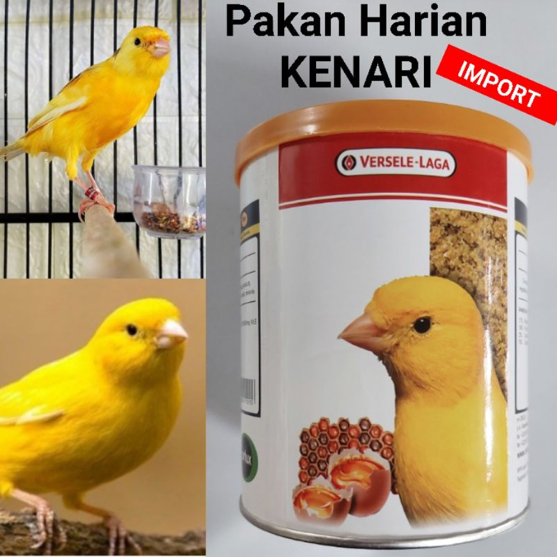 Gold Patte Yellow Versele Laga Gold Patte Profi 250 Grams Egg Food Bird Feeder Lovebird