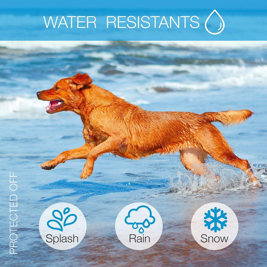 dogrook no bark collar