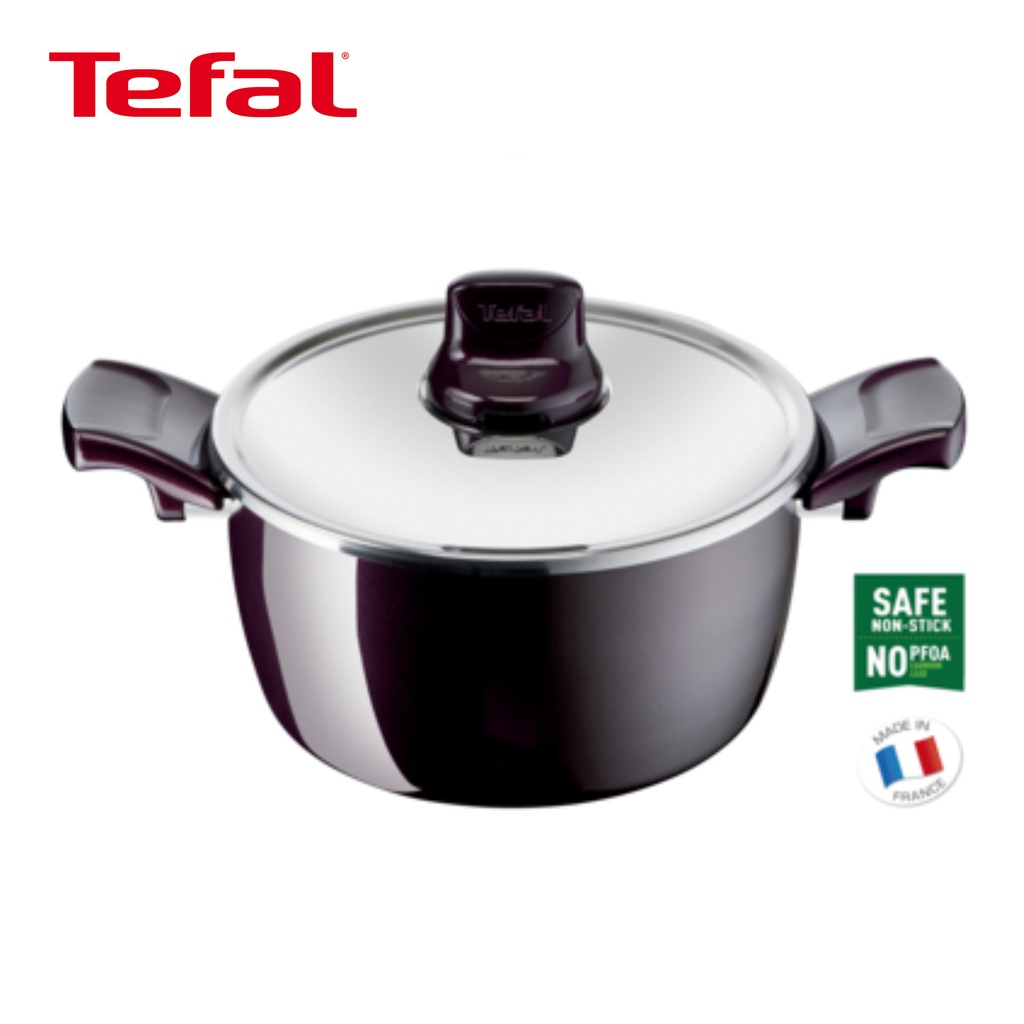 Tefal Resist Intense Stewpot 22cm + SS Lid Shopee Philippines