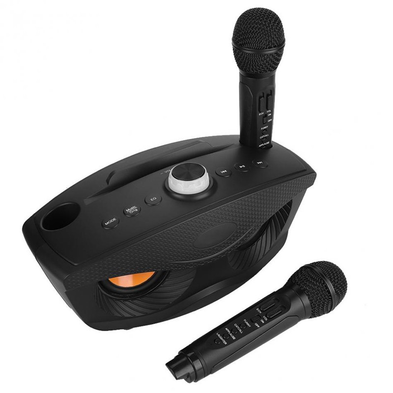 microphone speaker set