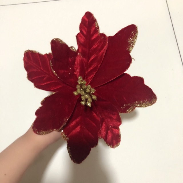 big red christmas flower