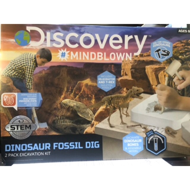 discovery dinosaur toy