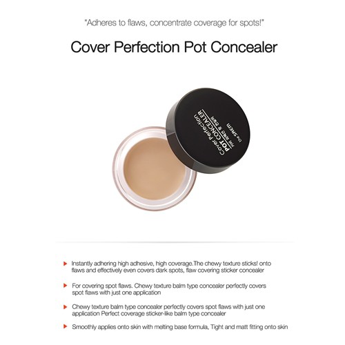 the saem cover perfection pot concealer