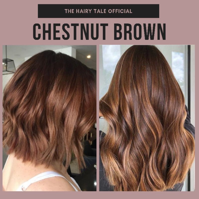 Chestnut Brown Non Bleach Permanent Hair Color | Shopee Philippines