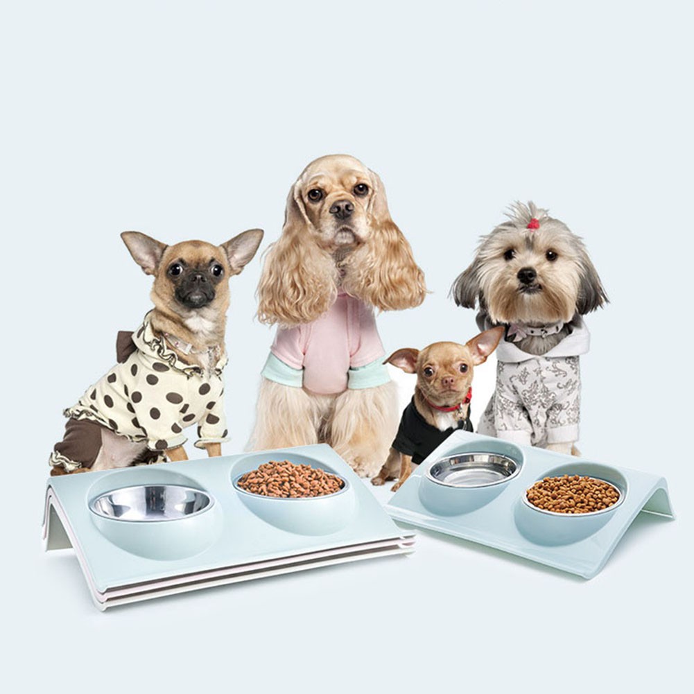 dish pet food