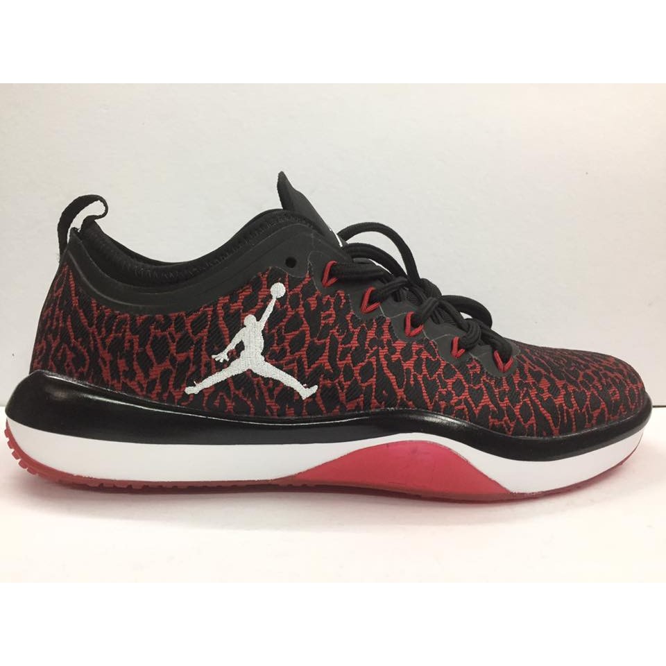 jordan trainer 12