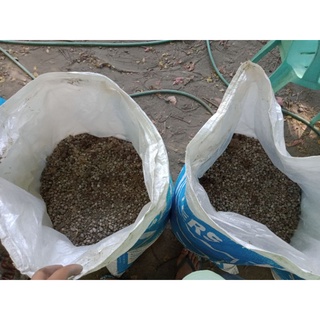rabbit poop's (organic fertilizer) #3
