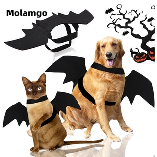 MOLAMGO Golden Retriever Big Dog Small Medium Large Dog Adult Dog Halloween Bat Wings Cat Foreign Trade Funny