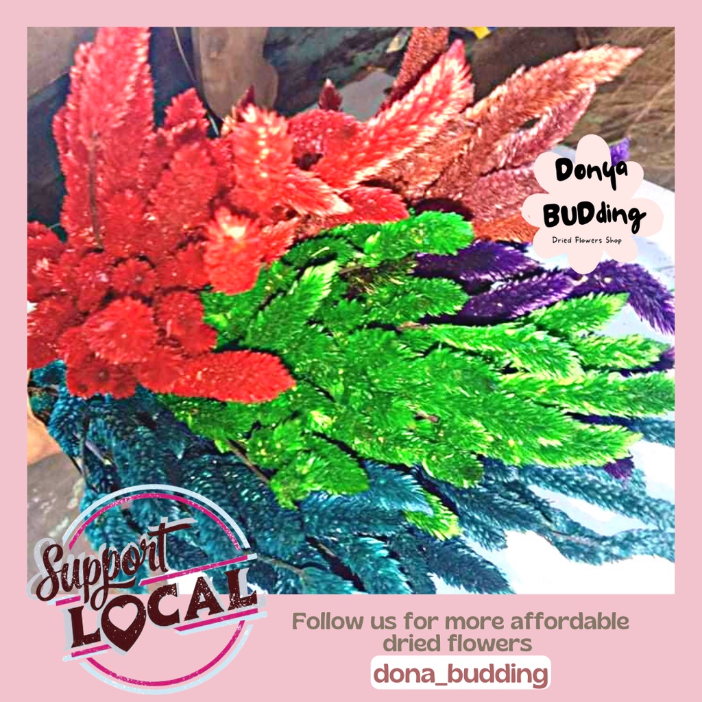 Dried Palong Dried Preserved Flowers Donya BUDding Shopee Philippines