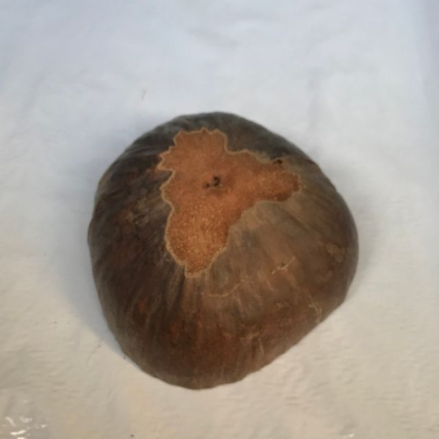 Scrubbing The Floor Using Coconut Husk Viewfloor.co