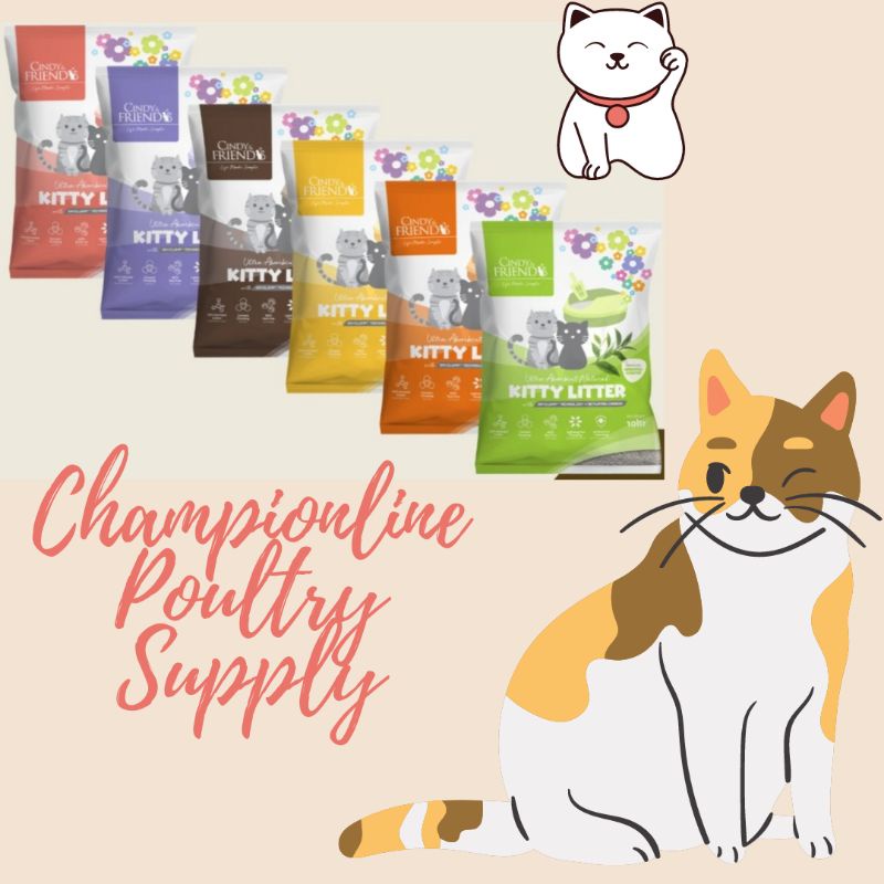 Cindy & Friends Kitty Litter | Shopee Philippines