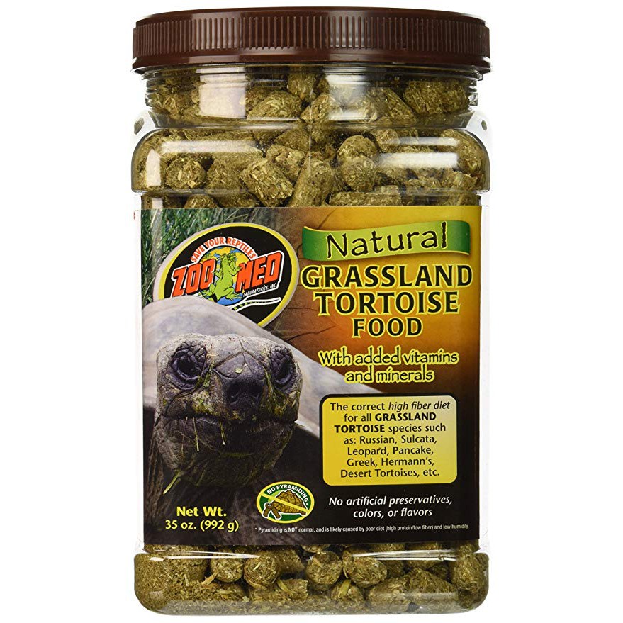 tortoise natural food