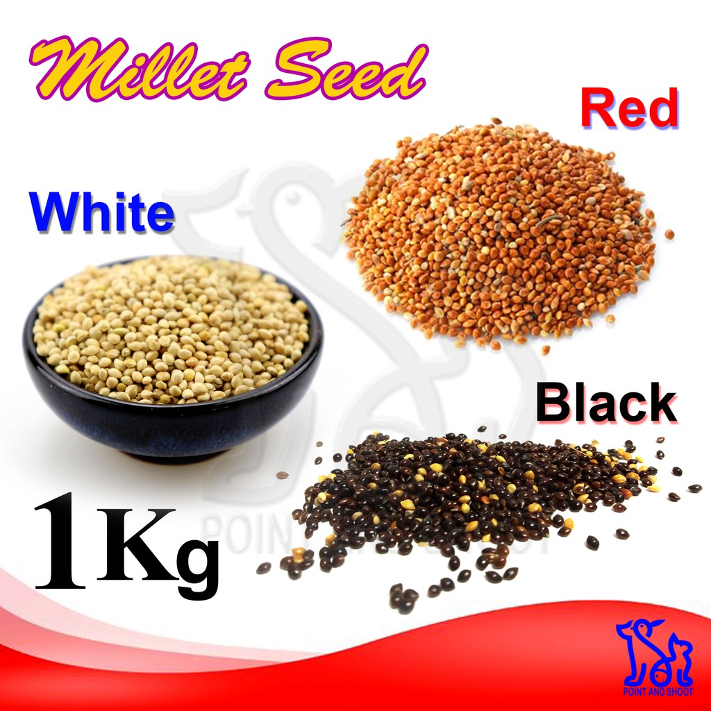 Bird Feeding Millet Seed 1Kg Shopee Philippines
