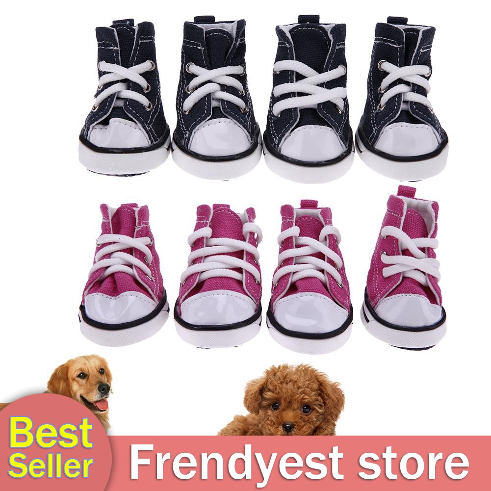 dog shoe store