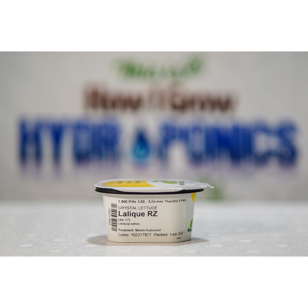 Lalique RZ Rijk Zwaan Seeds (1000 seeds) Crystal Lettuce Katanim