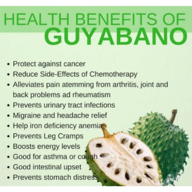 Guyabano Herbal Tea 10 Teabags Shopee Philippines