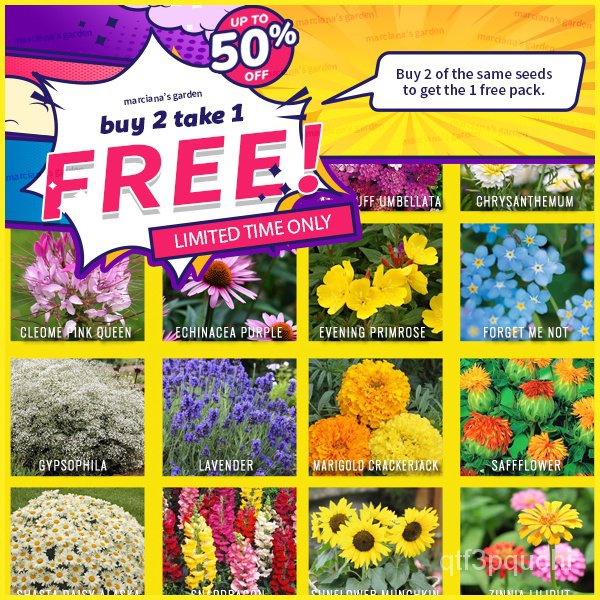 Mixed Seeds FLOWERING PLANT SEEDS COLLECTION (Lavender Marigo Oregano