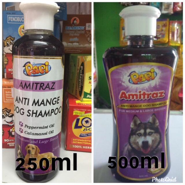 mange shampoo for puppies