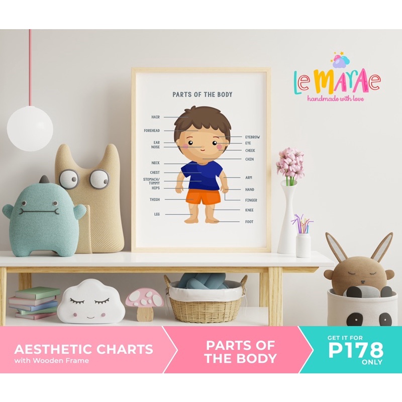 Parts of the Body Boy Laminated Educational Charts Wooden Frame A3 Wall ...