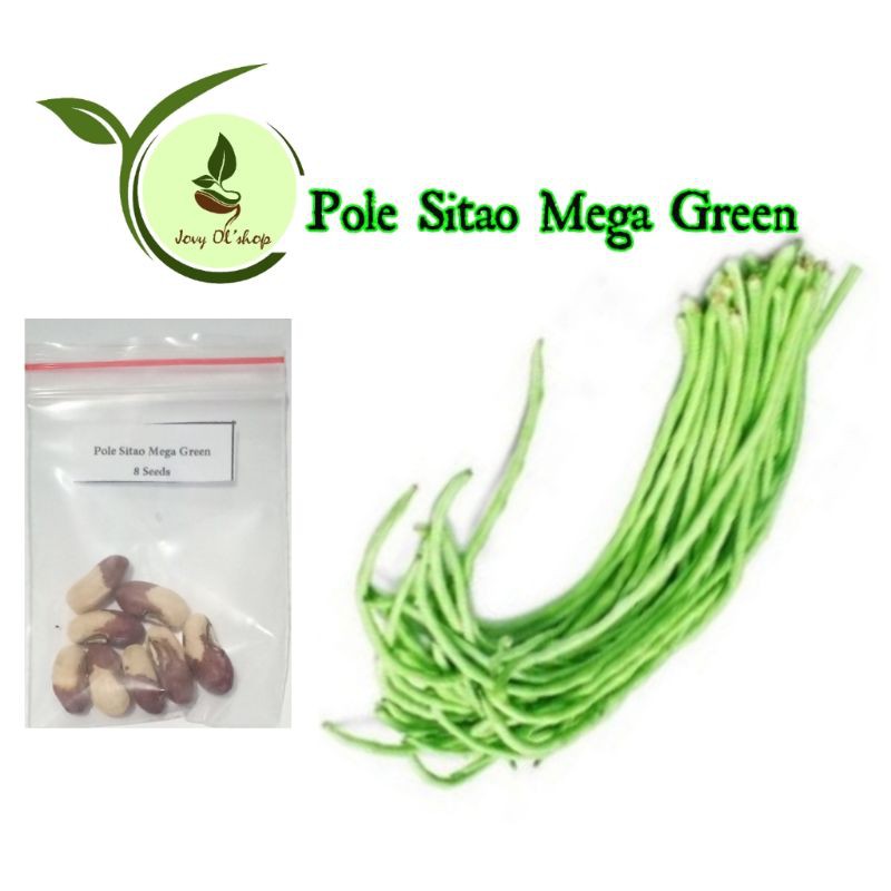 Pole Sitao / String Beans / Sitaw | BeeCost