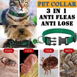 [PetKing] Pet Safety Insecticidal Kill Insect Dog Cat Outdoor Anti Flea Mite Tick Collar