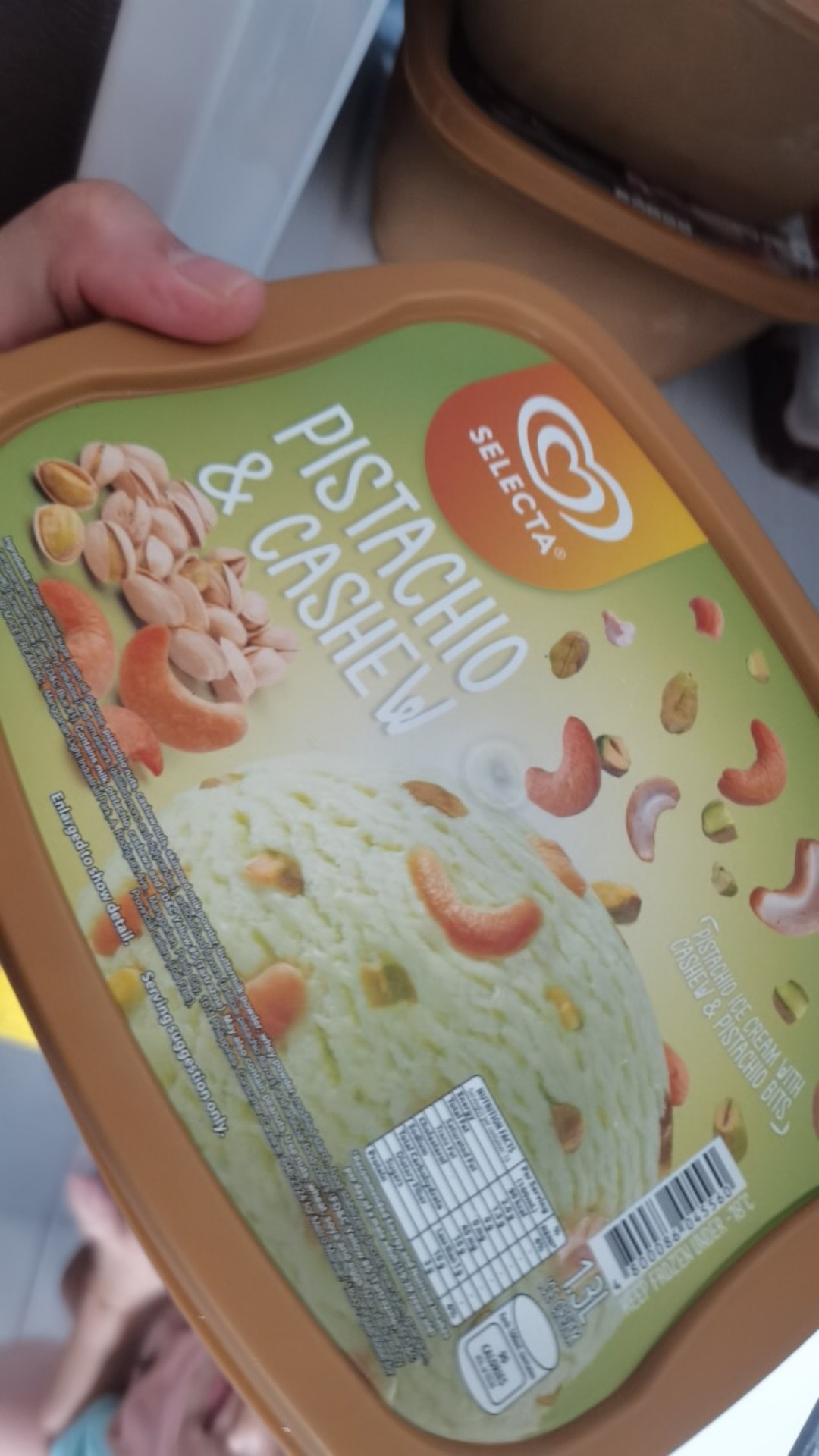 Selecta Pistachio Cashew Ice Cream 1 3l Shopee Philippines