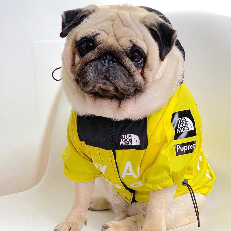 dog north face coat