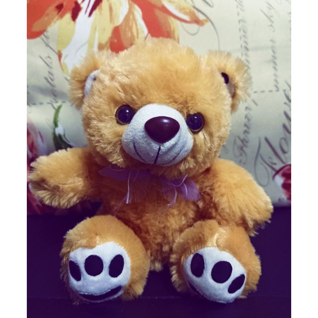 orange teddy