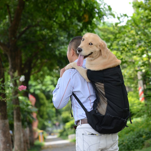 dog book bag