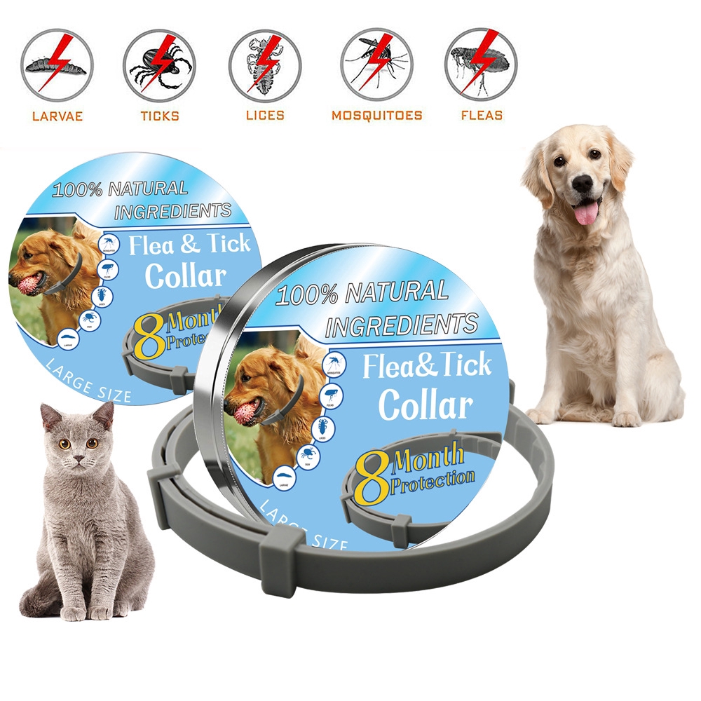 8Month Lasting Protection Anti Insect Flea Tick Collar for Pet Dog Cat ...