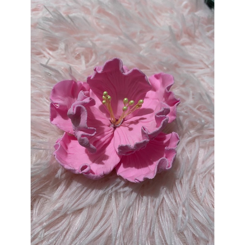 Juliane Olsen Edible Flowers Where To Buy Philippines Fresh