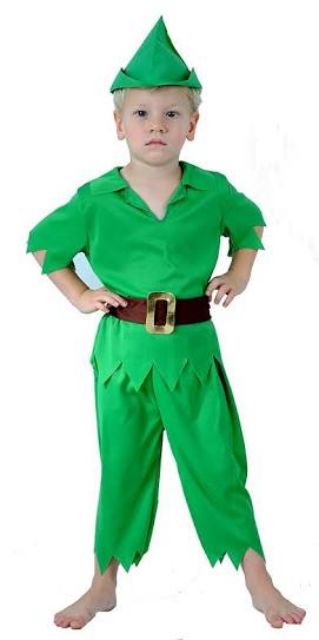 peter pan and tinkerbell costumes kids