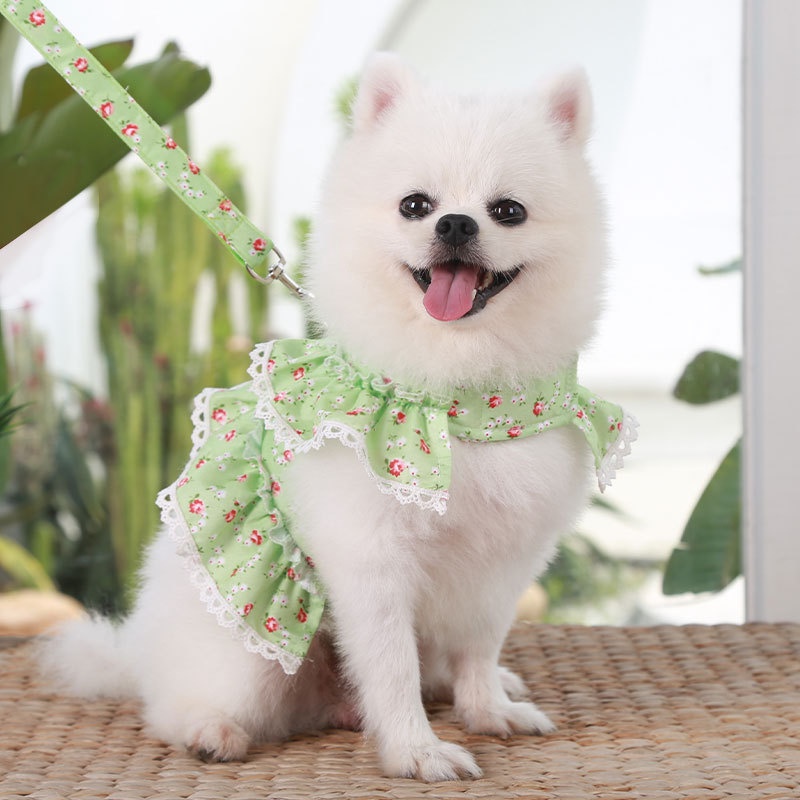 Pet Dog Harness Floral Lace Chest Strap Floral Lace Style Dog Leash Pet Chest Strap Leash Dog Collar Accessories #5