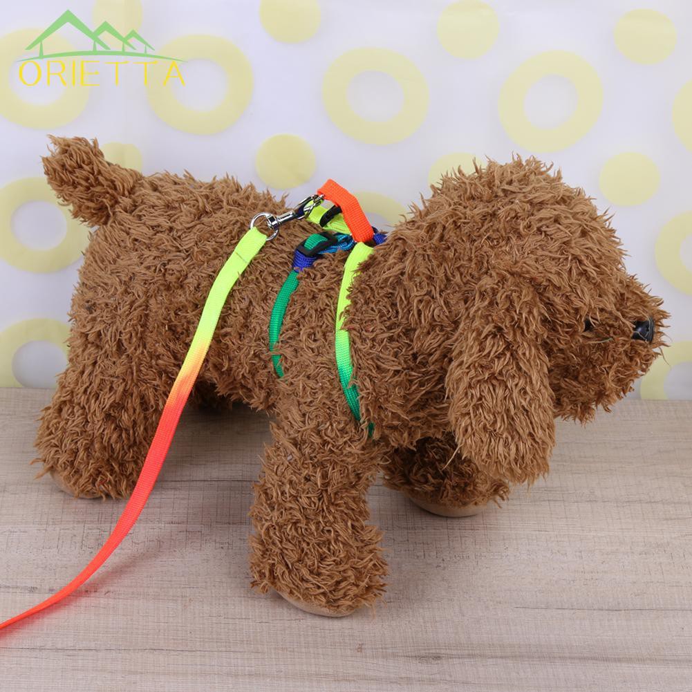 toy dog collars