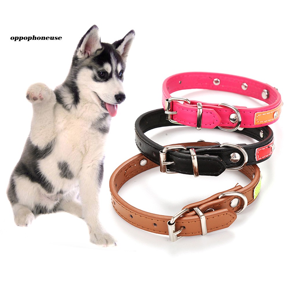 different dog collars