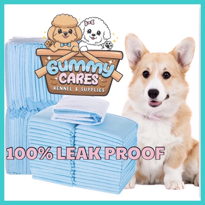 Pet Pee Pad Dog Pee Training Pad Cat Pee Pad Pet Wee Pee Poop Training