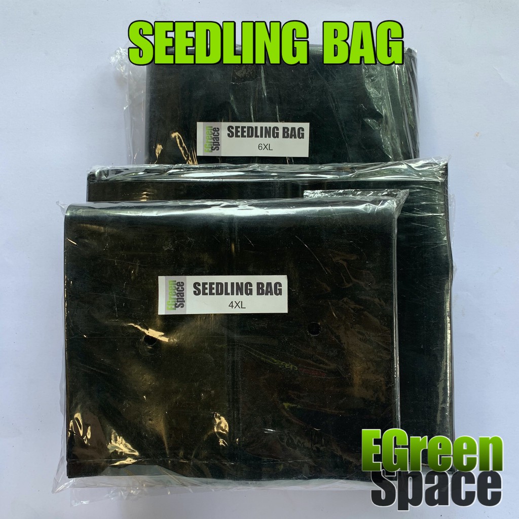 SEEDLING BAG 5PCS (Big Sizes) Gusset Type Potting Bag Plastic Black