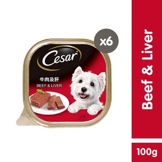 CESAR Wet Dog Food – Beef and Liver Flavor (6-Pack), 100g. Premium Dog Food for Adult Dogs