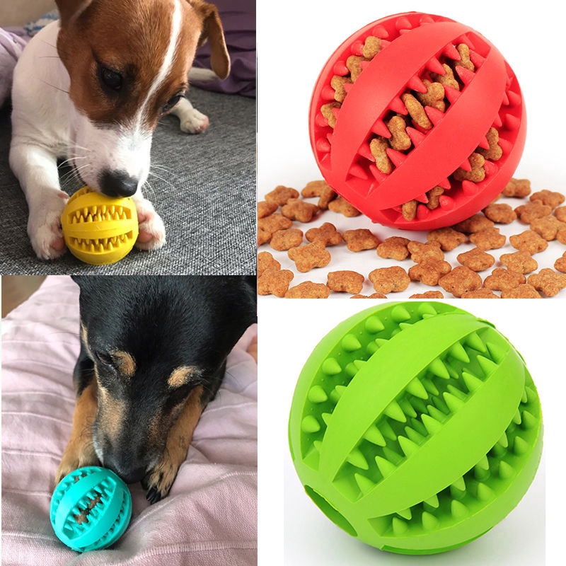 interactive dog toys