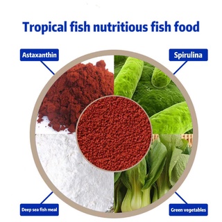 YUMIMA Betta Fish Food Beta Feed Tropical Fish Food 28g 100g #3