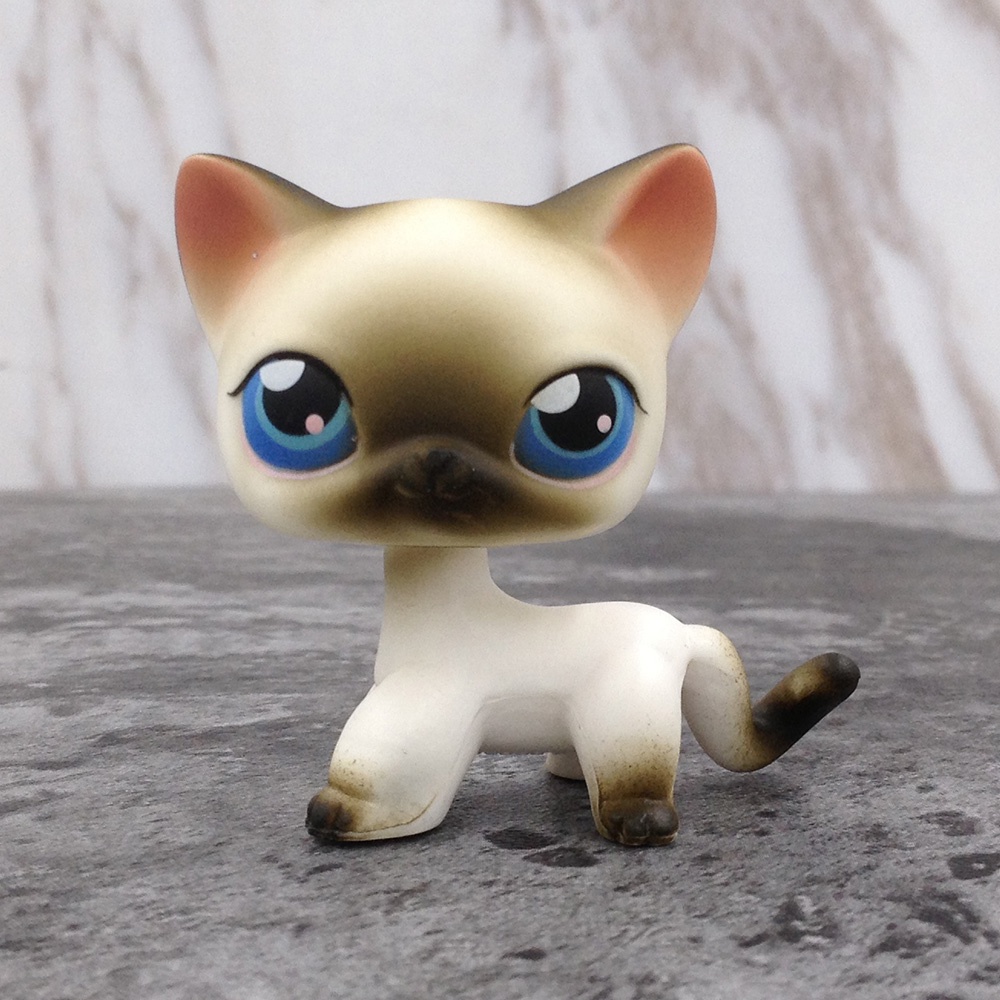 Hasbro Littlest Pet Shop Toy 5 LPS Short Hair Cat Birthday Doll Cute Kitty  Xmas Toy Kid Collection | Shopee Philippines