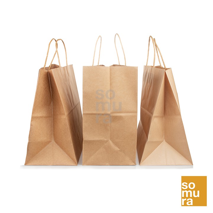 Takeaway Paper Bag with Punch Hole Handle/Twist Handle Takeout Shopee