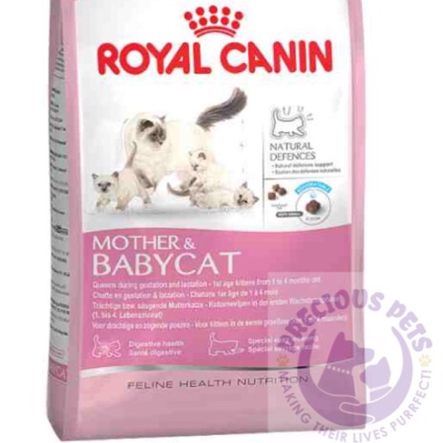 royal canin mother & baby dry cat food kitten