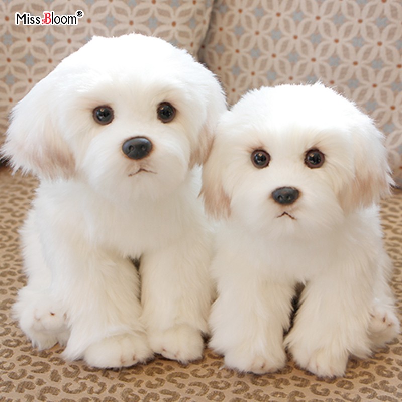 24cm Cute Small White Bichon Frise Stuffed Dog Plush Toy Simulation Pet Fluffy Baby Doll Birthday Ch Shopee Philippines