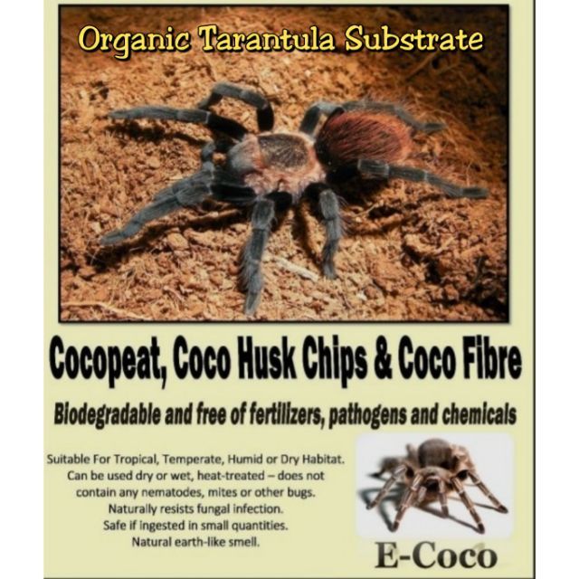 Tarantula Substrate/Reptile Shopee Philippines