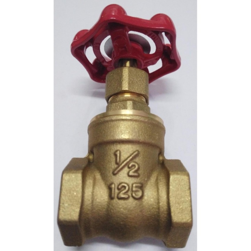 KITZ GATE VALVE 1/2" | Shopee Philippines