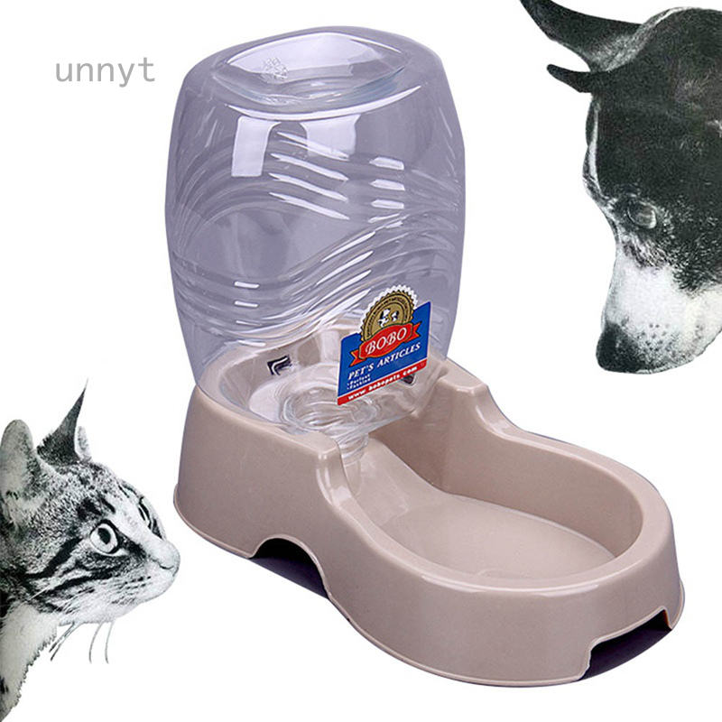 self feeding cat bowl