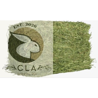 Pets❡▨PREMIUM Quality Timothy Hay in Resealable Plastic