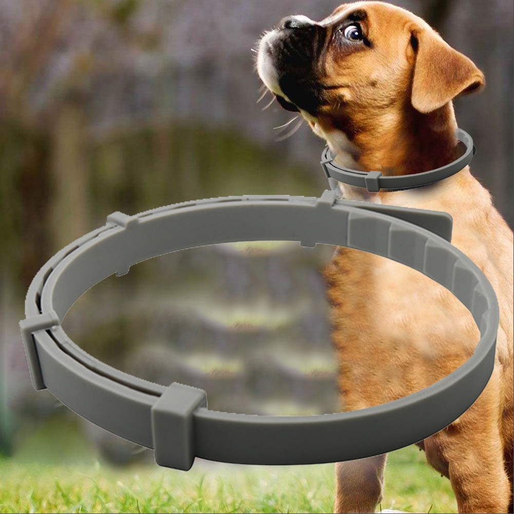 removing seresto collar